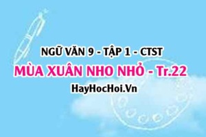 Soạn bài Mùa Xuân Nho Nhỏ trang 22 Ngữ văn lớp 9 tập 1 Chân trời sáng tạo